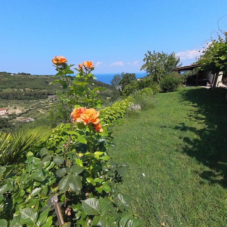 Forrest Apartment Portorož Dış mekan fotoğraf
