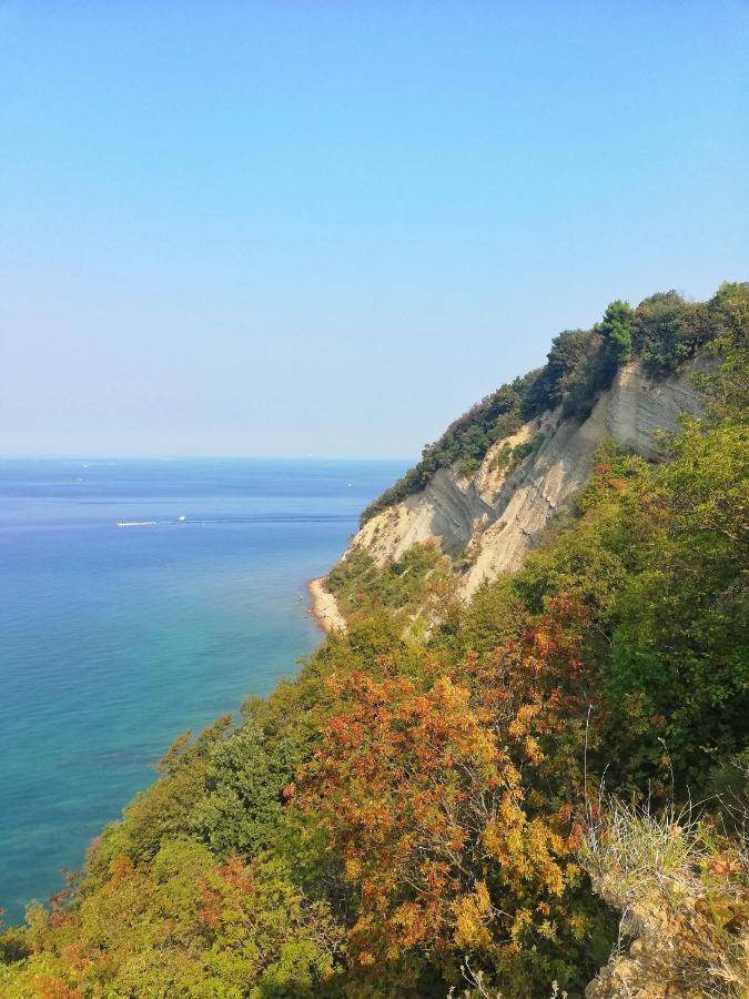 Forrest Apartment Portorož Dış mekan fotoğraf