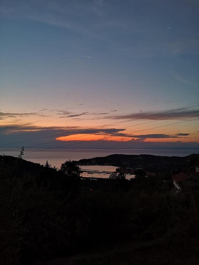 Forrest Apartment Portorož Dış mekan fotoğraf
